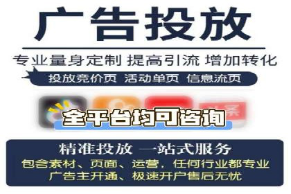 金融行业SEM服务的创新应用与效果